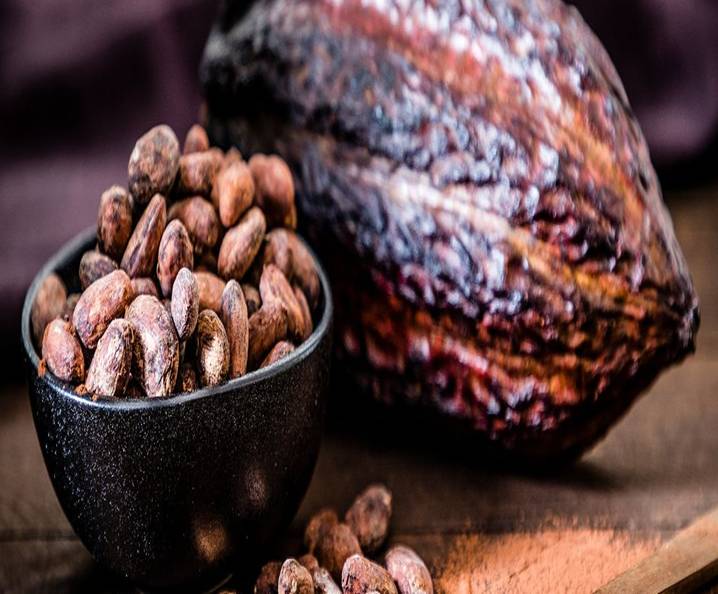 https://cdn.shopify.com/s/files/1/0508/5030/0076/files/cacao-fruto.jpg?v=1739368457