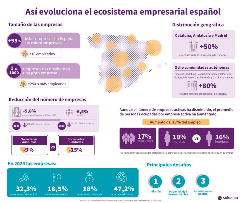 Infografía Ecosistema Empresarial Español. Solunion