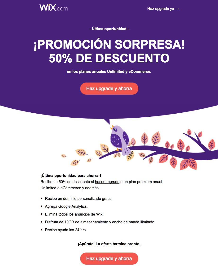 tipos de anuncios online: email