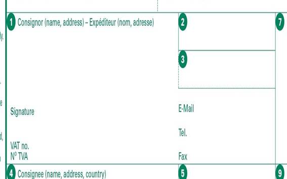 Contenido del artículo