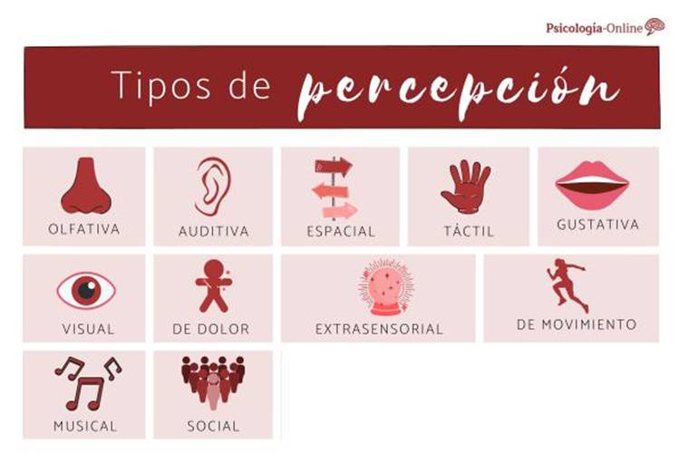 Tipos de percepción en psicología