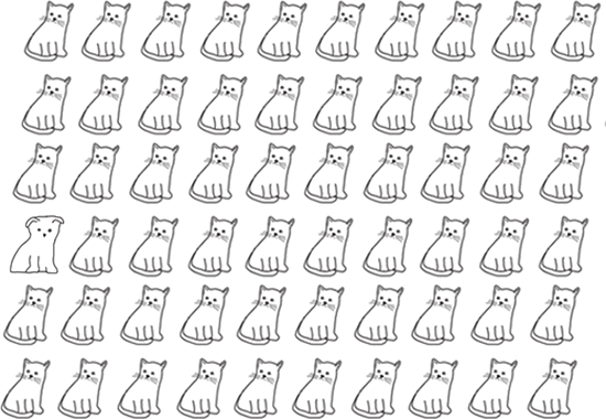 Muchos gatos alineados formando una cuadrícula. Si prestas mucha atención puedes ver que uno de los gatos es en realidad un perro. 