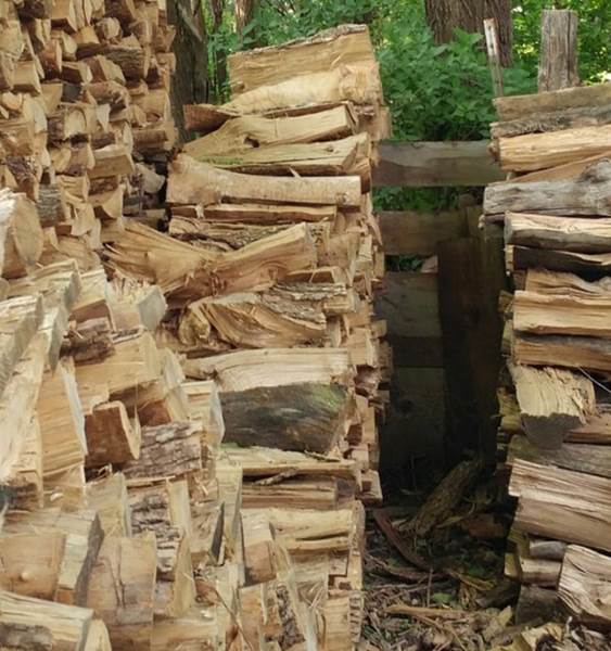 Gato escondido – juego visual