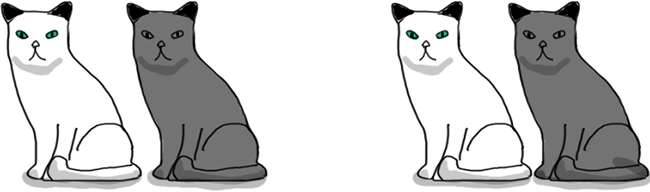 Dos parejas de gatos formadas por un gato blanco y uno gris. 